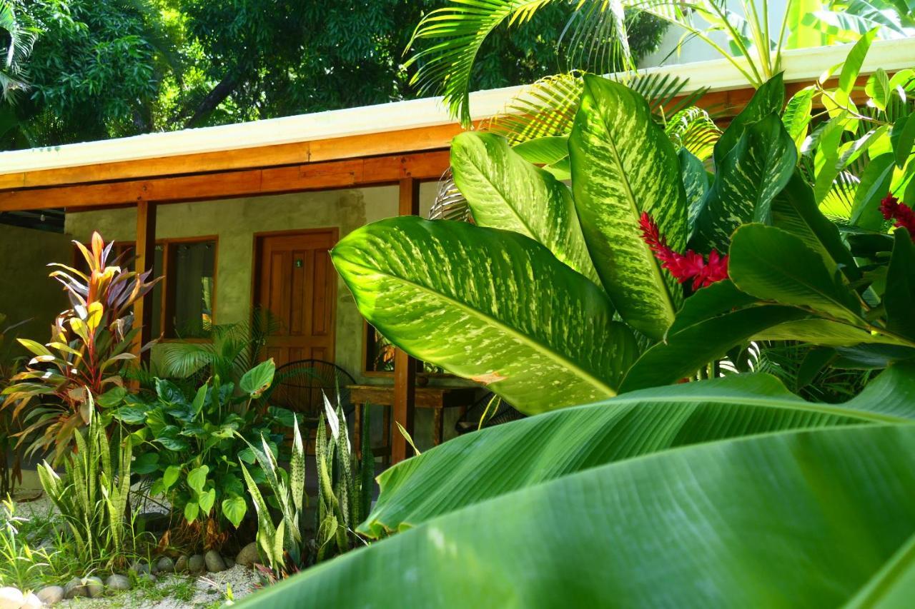 Cabinas Playa Surf Hostel Playa Santa Teresa  Екстериор снимка