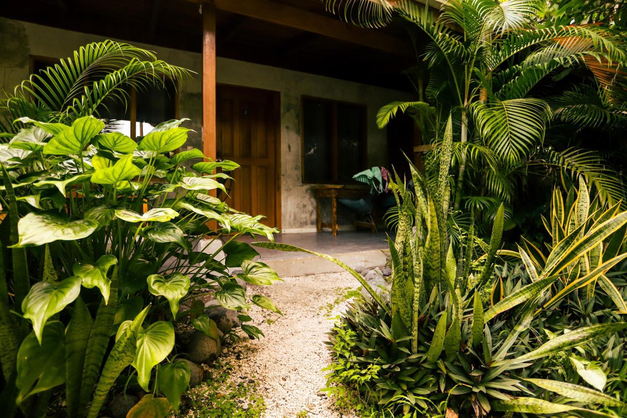Cabinas Playa Surf Hostel Playa Santa Teresa  Екстериор снимка